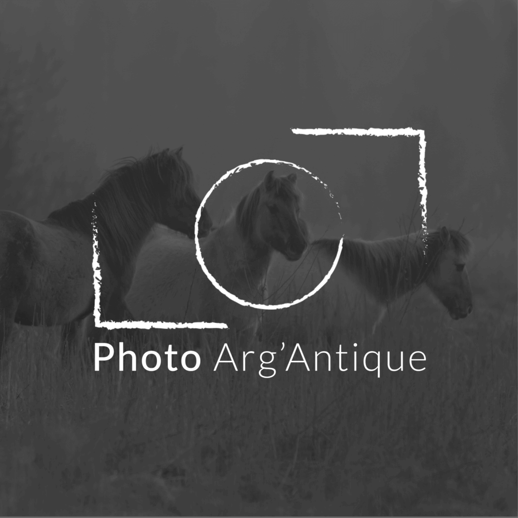 Vignette Photo Arg'Antique pour page Réalisations